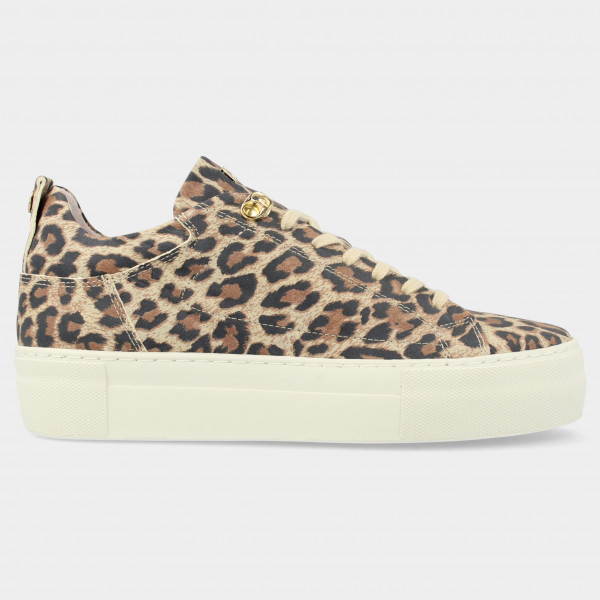Luipaard sneakers | 74402